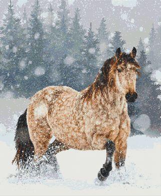 (image for) Big Snow